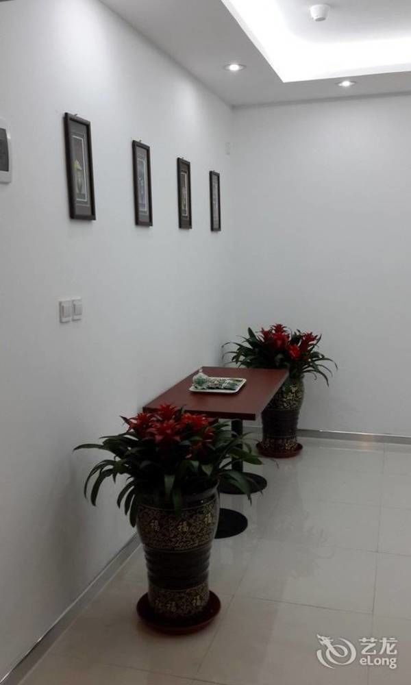 Hanting Express Qingdao South Chongqing Road Eksteriør billede